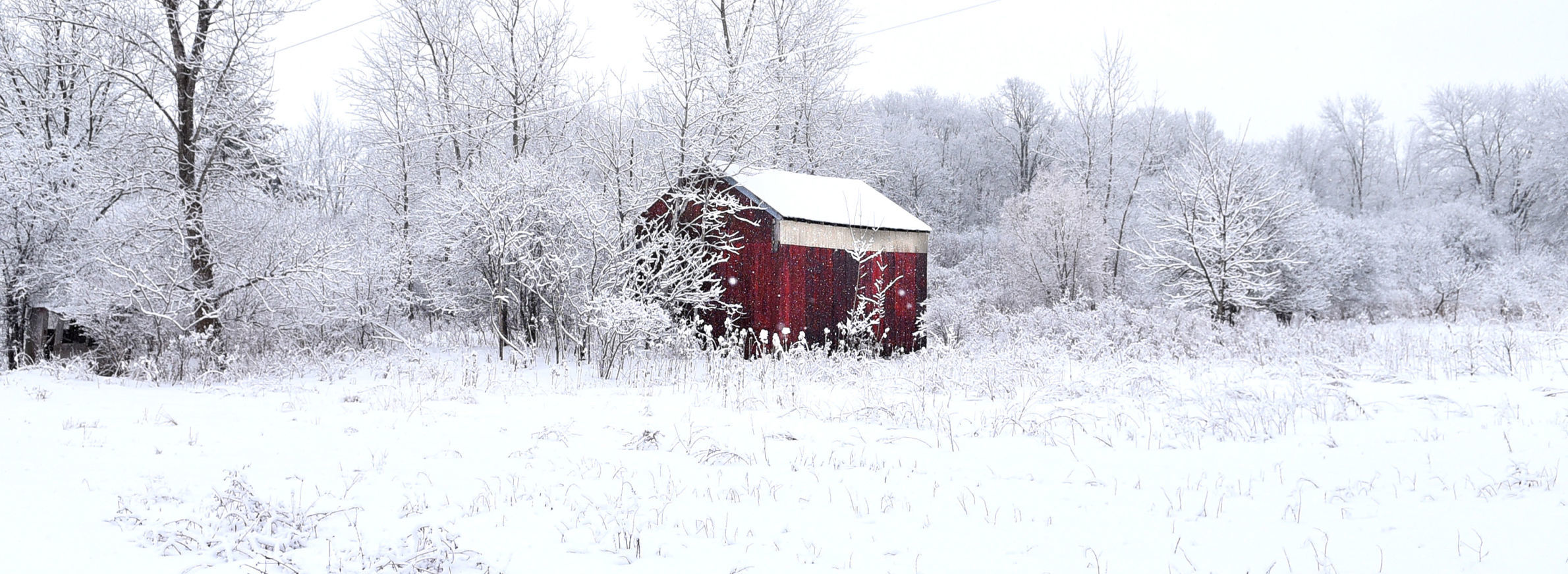 Frosted countryside 2